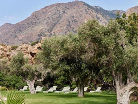 Camping El Portus - Camping Murcia - Image N°41
