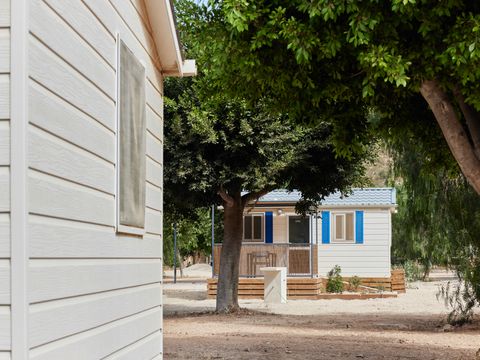 Camping El Portus - Camping Murcia - Image N°11