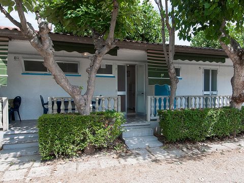 APPARTEMENT 5 personnes - Bungalow Superior Maxi - Animaux autorisés