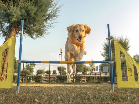 Roseto degli Abruzzi Easy Camping Village - Camping Olbia-Tempio - Image N°15