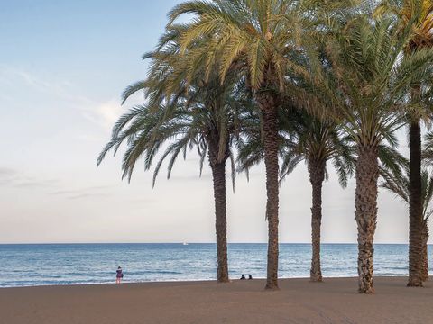 Pierre & Vacances Hotel Costa Málaga (Adults only) - Camping Málaga - Image N°10