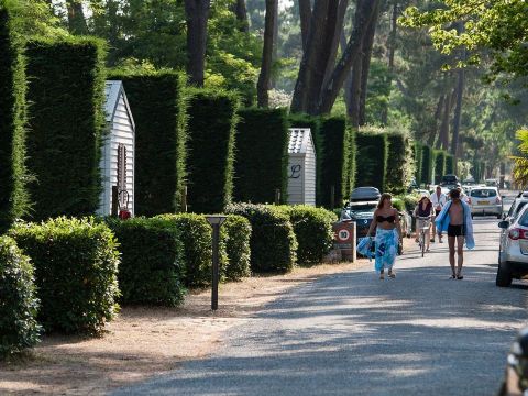  Tour Operateur et particuliers sur camping La Pinède Les Mathes - Funpass non inclus - Camping Charente-Maritime - Image N°25