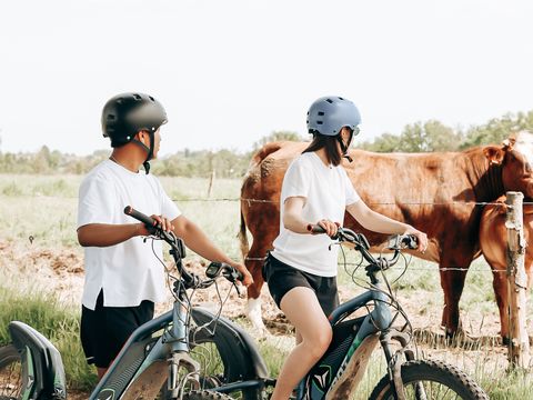 LODGE 4 personnes - Eco Lodge 4 personnes
