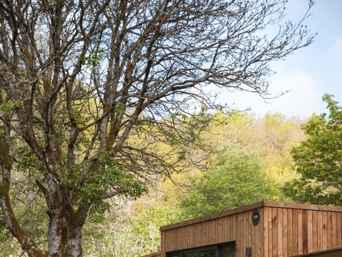 LODGE 2 personnes - Cocon de l'Ourthe
