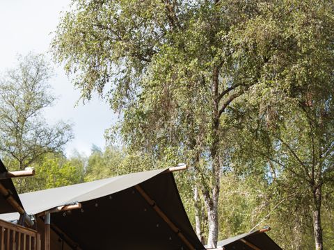 Tente en toile et en bois 4 personnes - Tente Safari I 4 personnes I Salle de bain privée