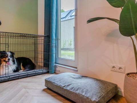 BUNGALOW 4 personnes - Maison de vacances pour chiens de 4 personnes