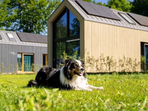 Landal Olde Kottink - Camping Beuningen - Image N°19