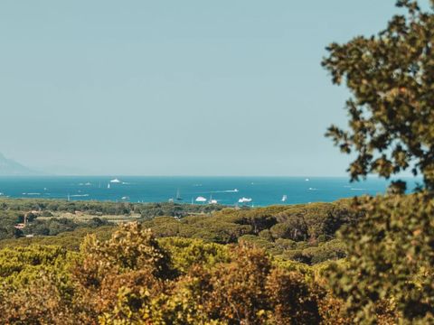 Camping Ladouceur - Ramatuelle Saint Tropez - Camping Var - Image N°9