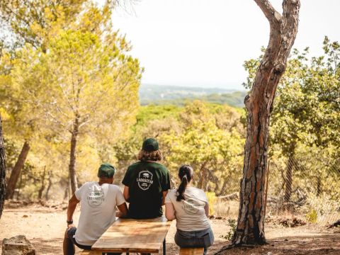 Camping Ladouceur - Ramatuelle Saint Tropez - Camping Var - Image N°4