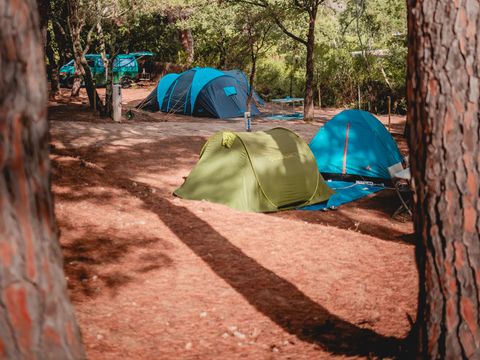 Camping Ladouceur - Ramatuelle Saint Tropez - Camping Var - Image N°5