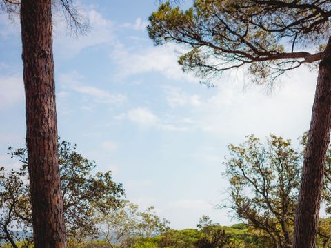Emplacement - Nature Tente avec électricité