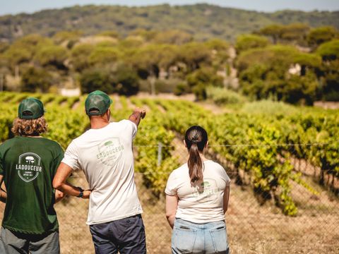 Camping Ladouceur - Ramatuelle Saint Tropez - Camping Var - Image N°2