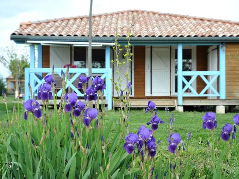 Chalet 10 personnes - Lodge chalet Twin 65m²+35m²