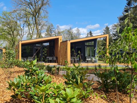 Lodgepark 't Vechtdal - Camping Dalfsen - Image N°8