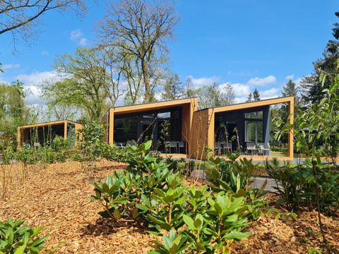 Lodgepark 't Vechtdal - Camping Dalfsen - Image N°2