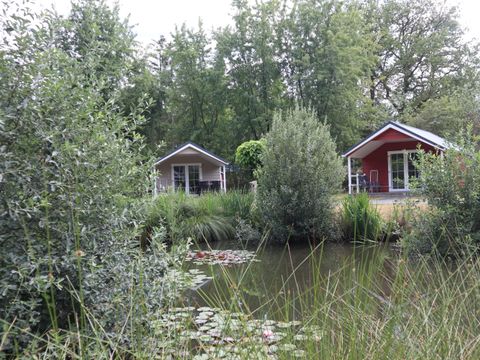 Lodgepark 't Vechtdal - Camping Dalfsen - Image N°7