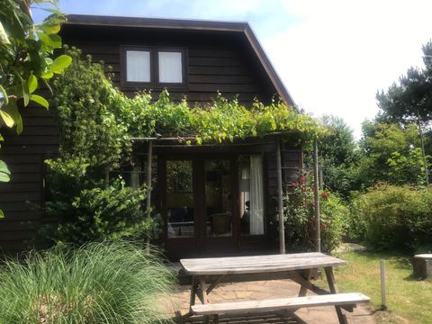 CHALET 5 personnes - Chalet des dunes 43