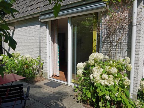 BUNGALOW 4 personnes - Dune 130