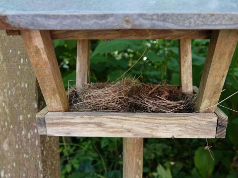 BUNGALOW 4 personnes - Dune 130