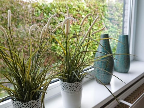 BUNGALOW 4 personnes - Dune 101