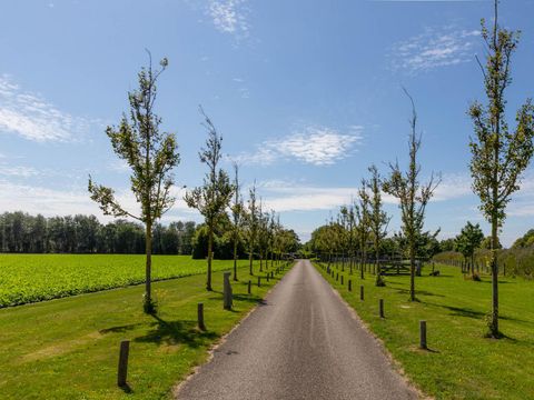 BUNGALOW 4 personnes - Dune 101