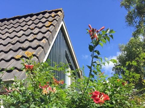 BUNGALOW 5 personnes - Dune 123