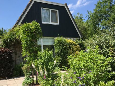 BUNGALOW 5 personnes - Dune 123