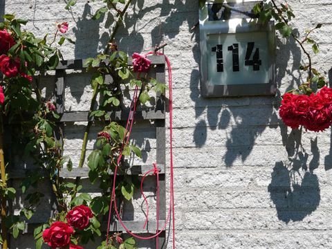 BUNGALOW 6 personnes - Dune 114