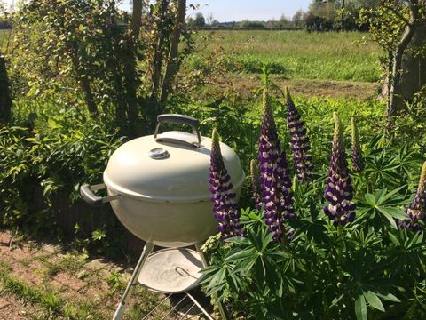 CHALET 4 personnes - Maison des dunes 10