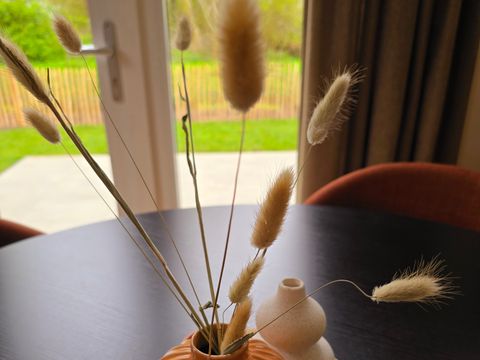 LODGE 4 personnes - Dune lodge 94