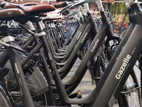 Bungalowpark Mooyeveld - Camping Bergen - Image N°8