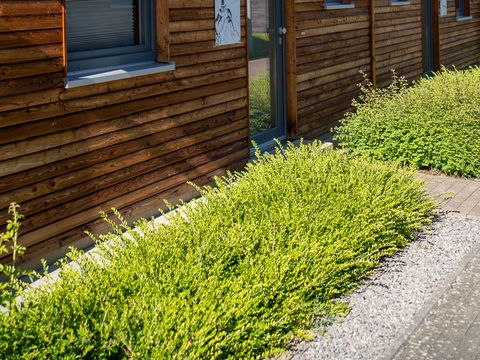 MAISON 5 personnes - Sunshine