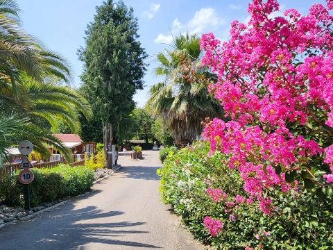 Camping City Nature - Camping Pyrénées-Atlantiques - Image N°2