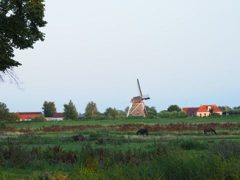 Boetiekpark de Kas - Camping Weststellingwerf - Image N°26
