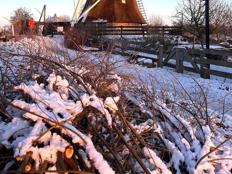 Boetiekpark de Kas - Camping Weststellingwerf - Image N°34