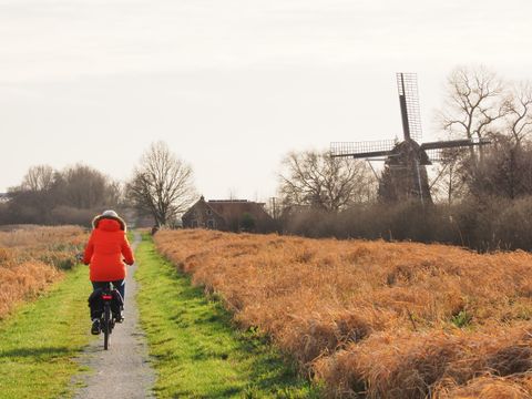 Boetiekpark de Kas - Camping Weststellingwerf - Image N°31