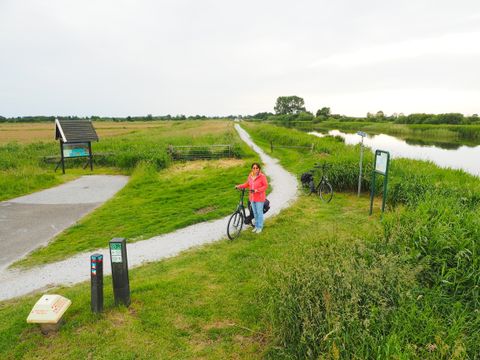 Boetiekpark de Kas - Camping Weststellingwerf - Image N°4