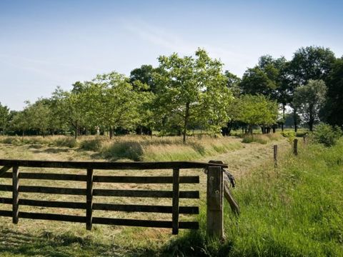 Erve Woolderink - Camping Wierden - Image N°17