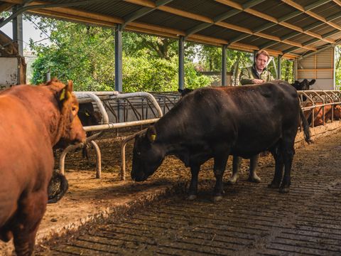 MAISON 5 personnes - Reggehooiberg