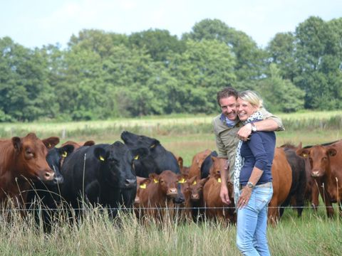 MAISON 5 personnes - Reggehooiberg
