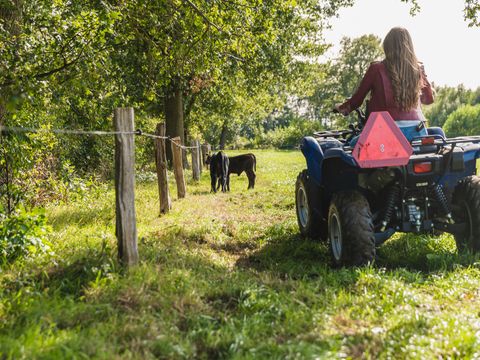 MAISON 5 personnes - Reggehooiberg
