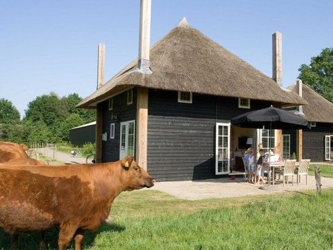 MAISON 5 personnes - Reggehooiberg