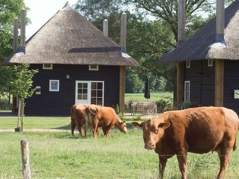 MAISON 5 personnes - Reggehooiberg