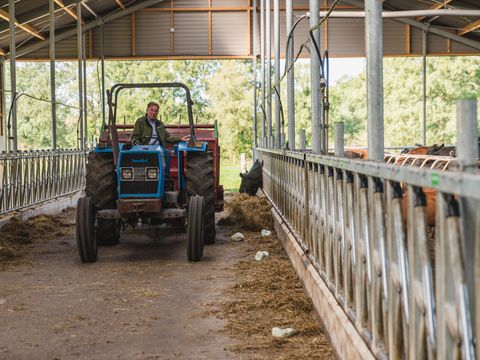 MAISON 10 personnes - 2 maisons de vacances à Reggehooiberg