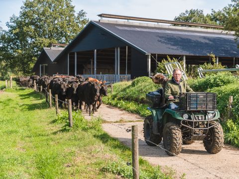 MAISON 10 personnes - 2 maisons de vacances à Reggehooiberg