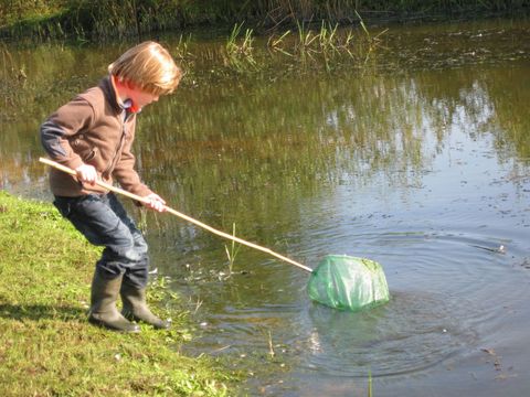 MAISON 10 personnes - 2 maisons de vacances à Reggehooiberg
