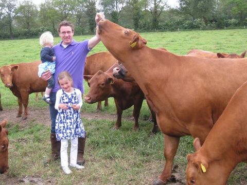 MAISON 10 personnes - 2 maisons de vacances à Reggehooiberg