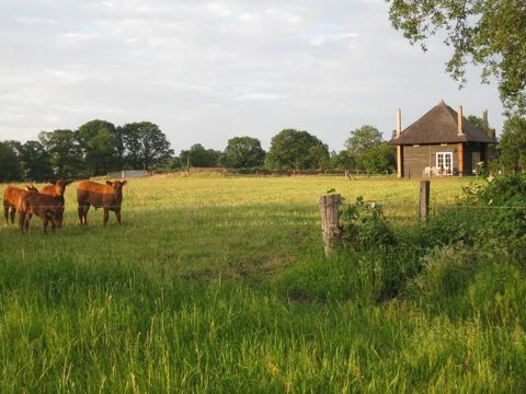 MAISON 10 personnes - 2 maisons de vacances à Reggehooiberg