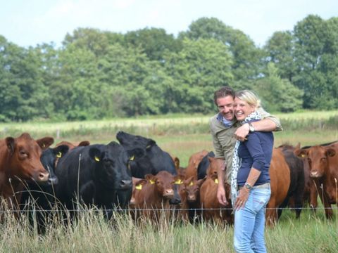 Erve Woolderink - Camping Wierden - Image N°5