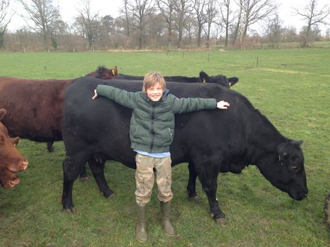 Erve Woolderink - Camping Wierden - Image N°9